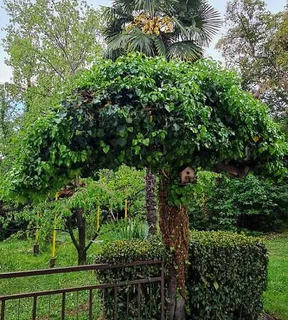 Sanja, - Opatija 3*